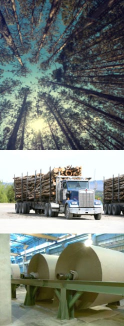 Fiber Supply Management Tool