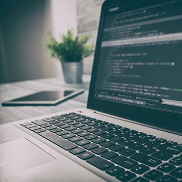 Custom Development